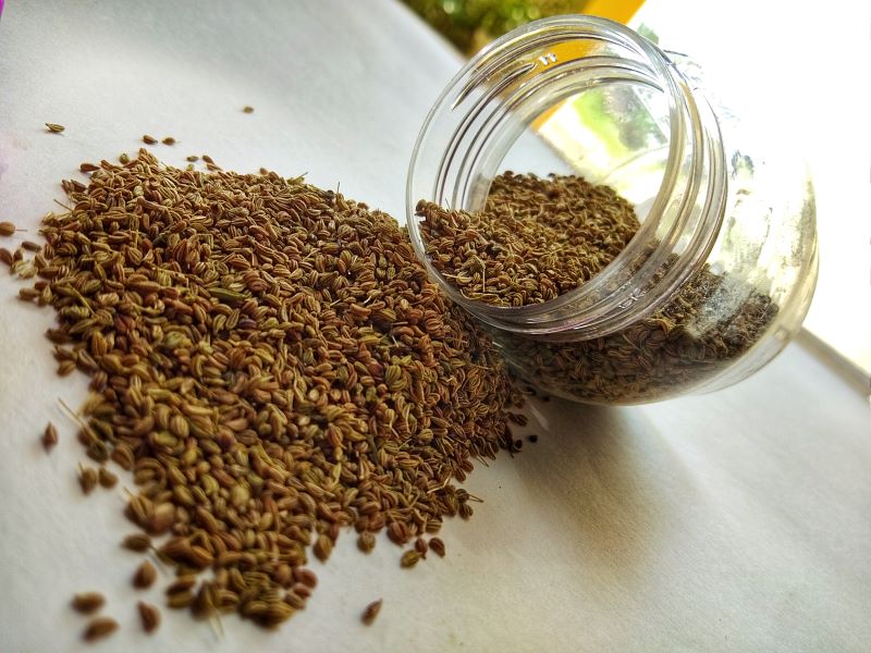 ajwain-seed