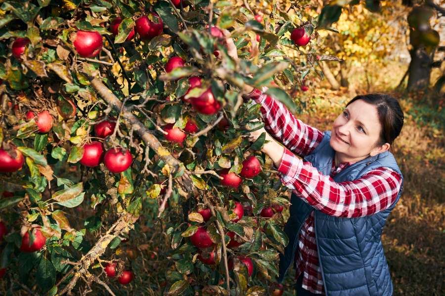 Best Time to Visit Great Britain: Seasons To Visit & Tips For Travelling