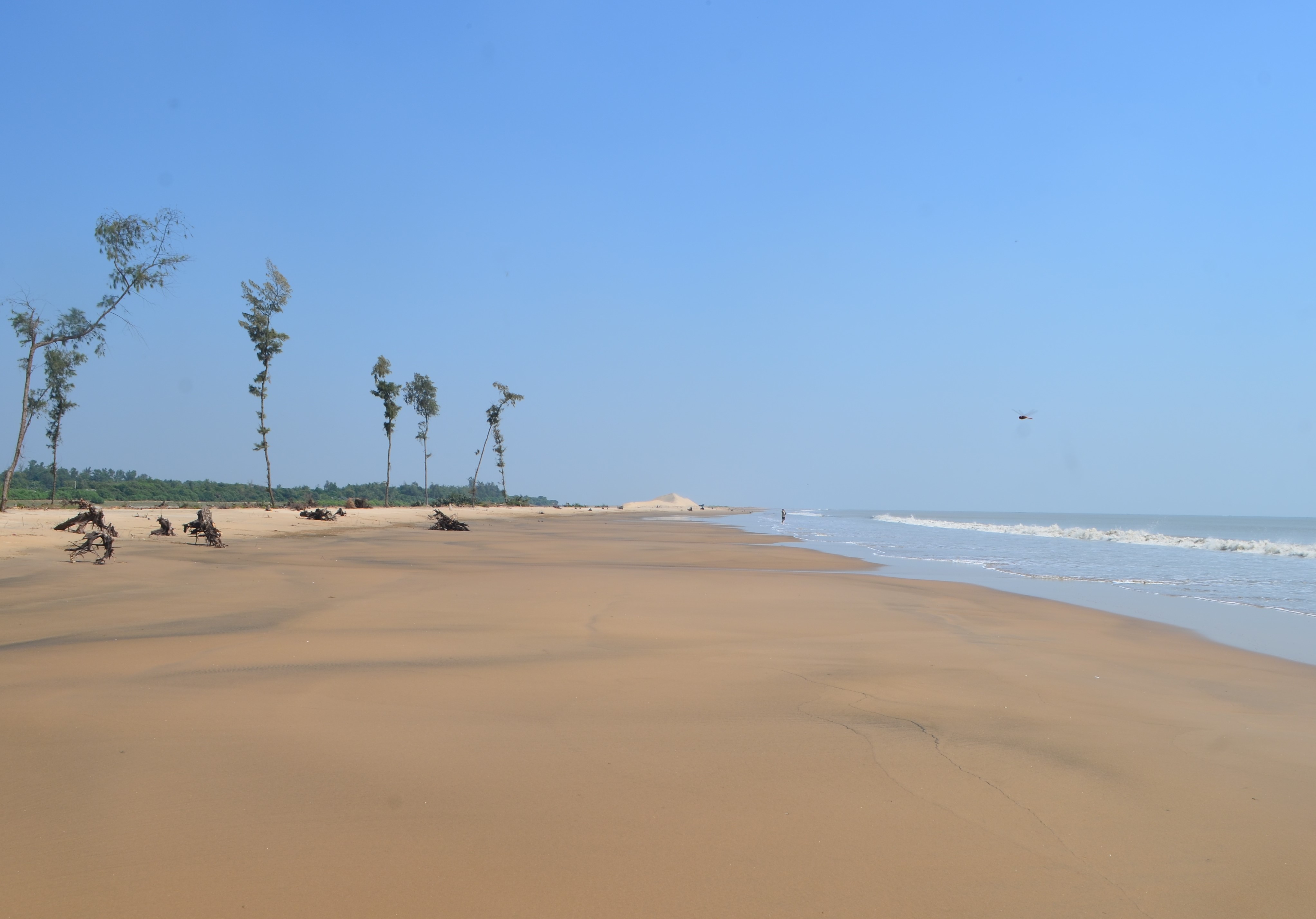 famous beaches to visit in puri