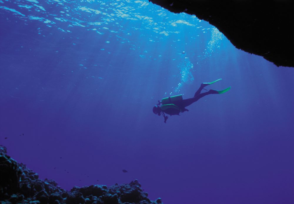 scuba diver swimming 