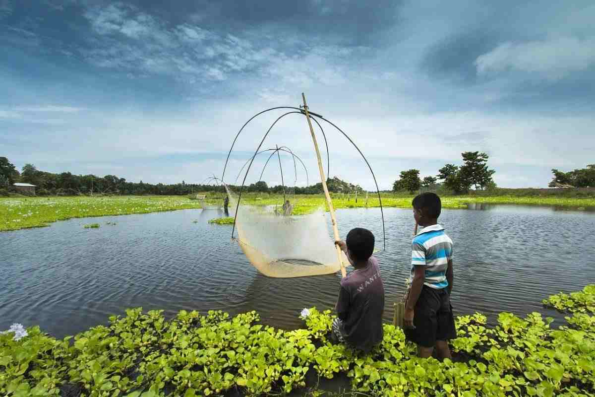 small business ideas in assam