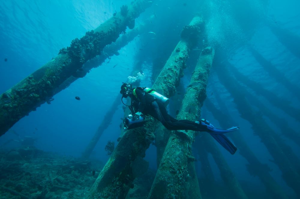 scuba diver swimming by hoilding a video capture device