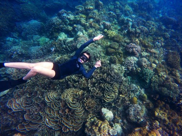 a female scuba diver swimming over the coral reef