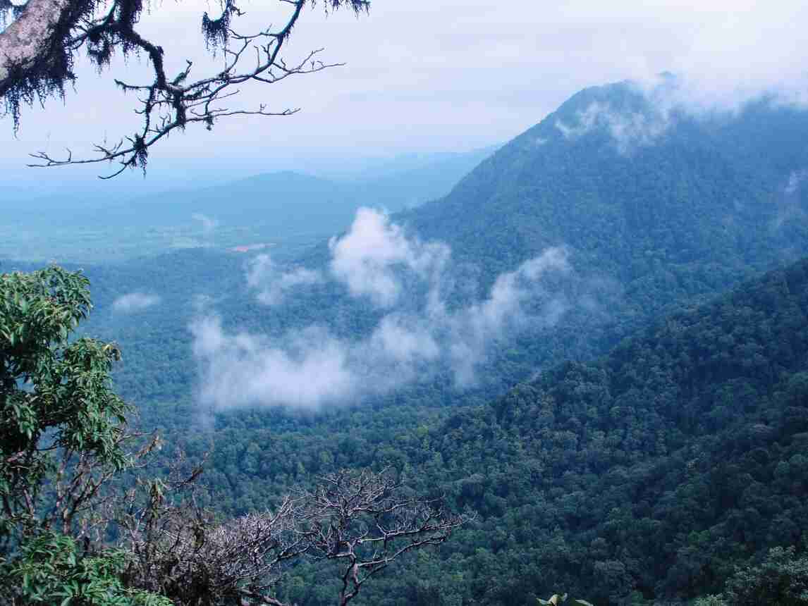 agumbe view point