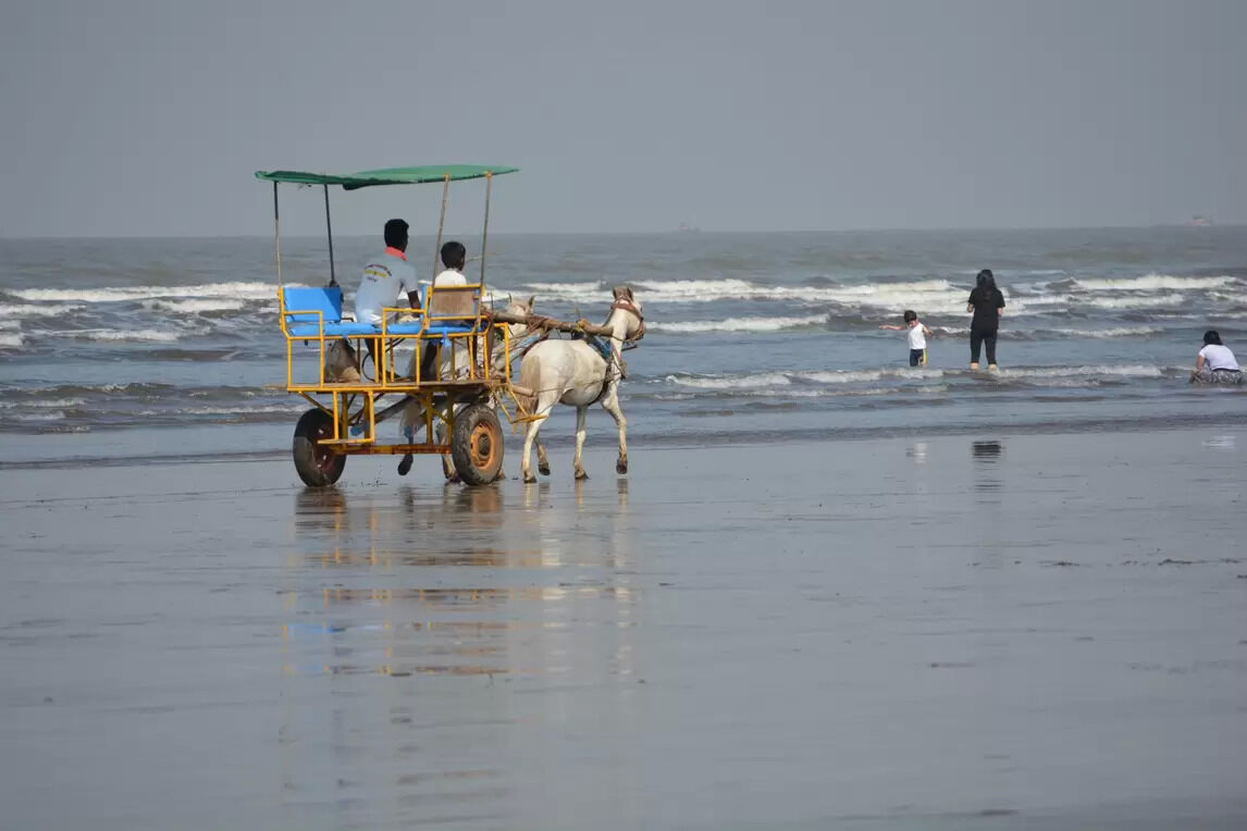alibaug august