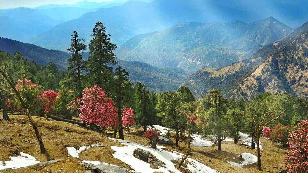 almora uttarakhand