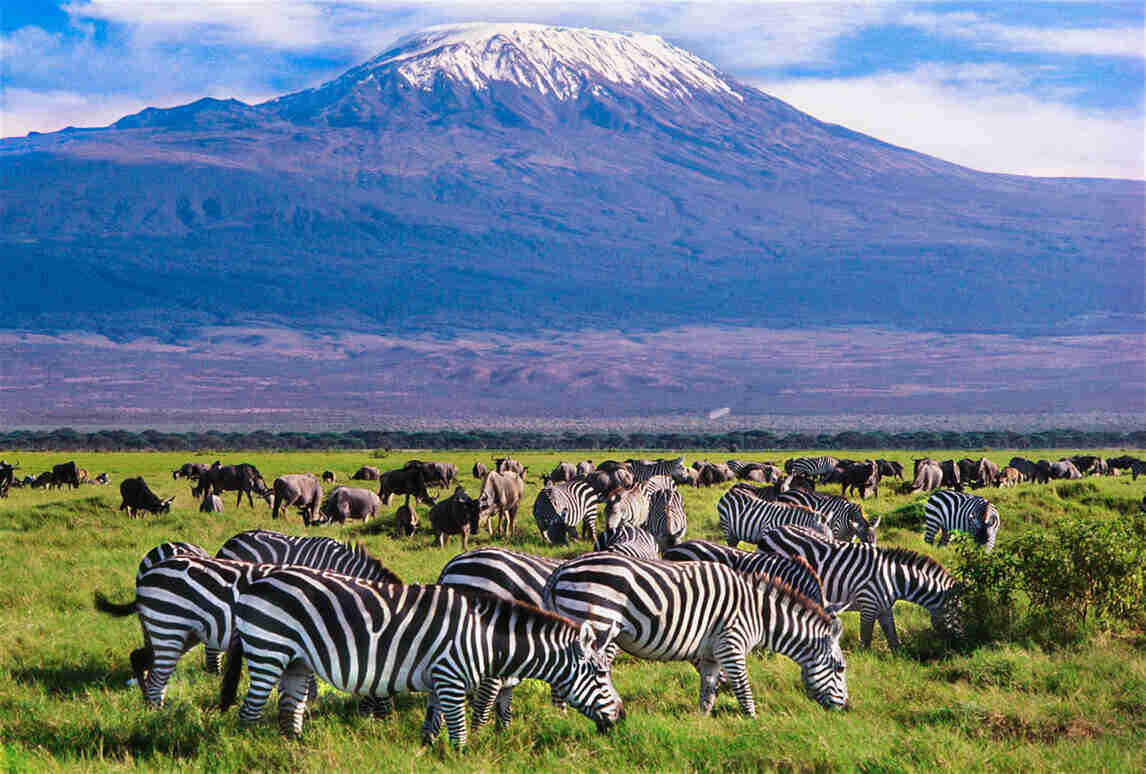 What Is Kenya Famous For Top 20 Popular Places & Things in Kenya