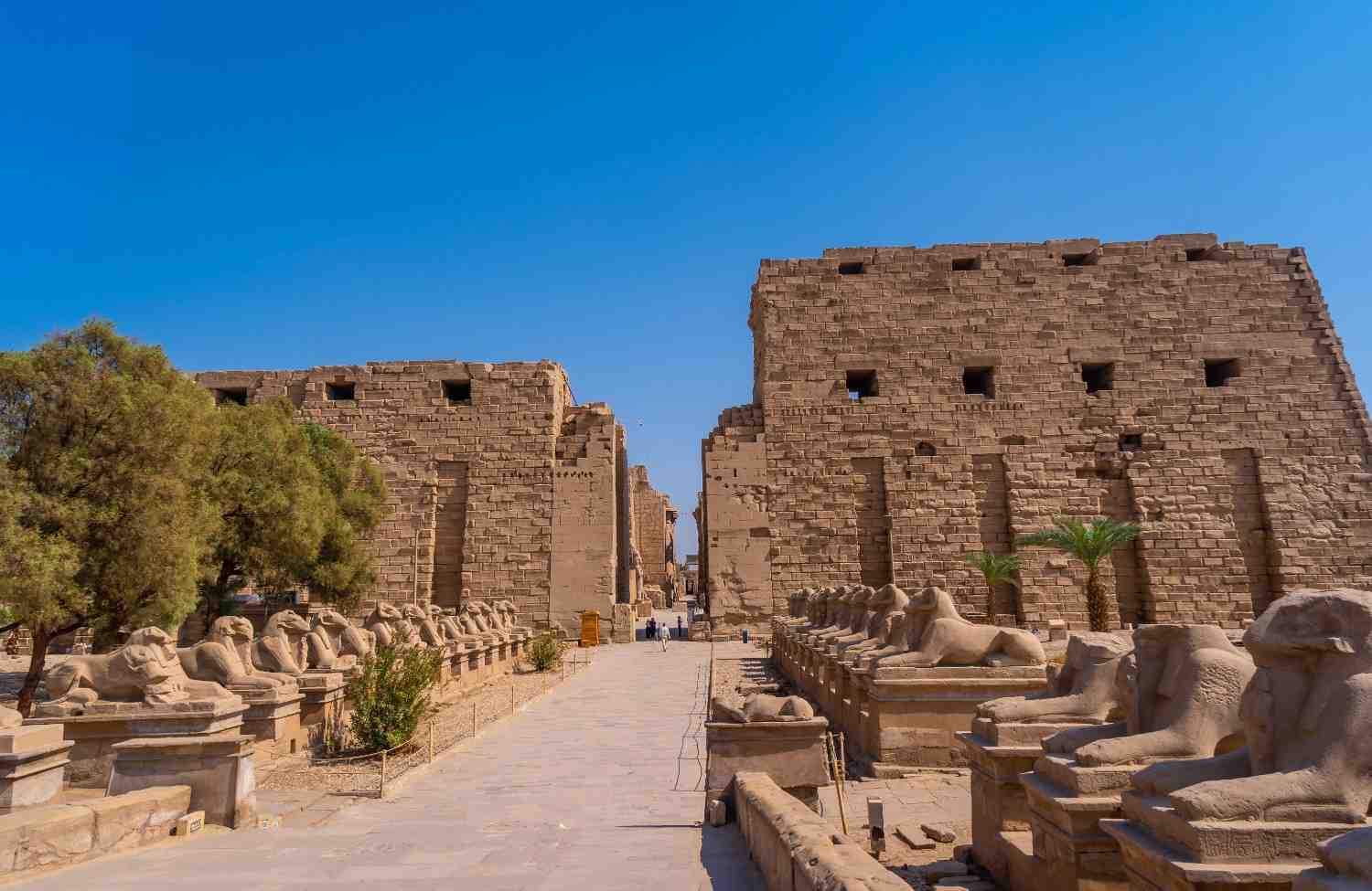 ancient thebes with its necropolis