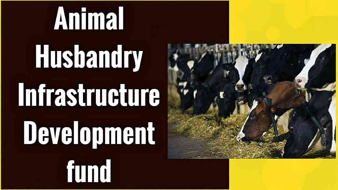 Animal Husbandry Infrastructure Development Fund: AHIDF Scheme Explained