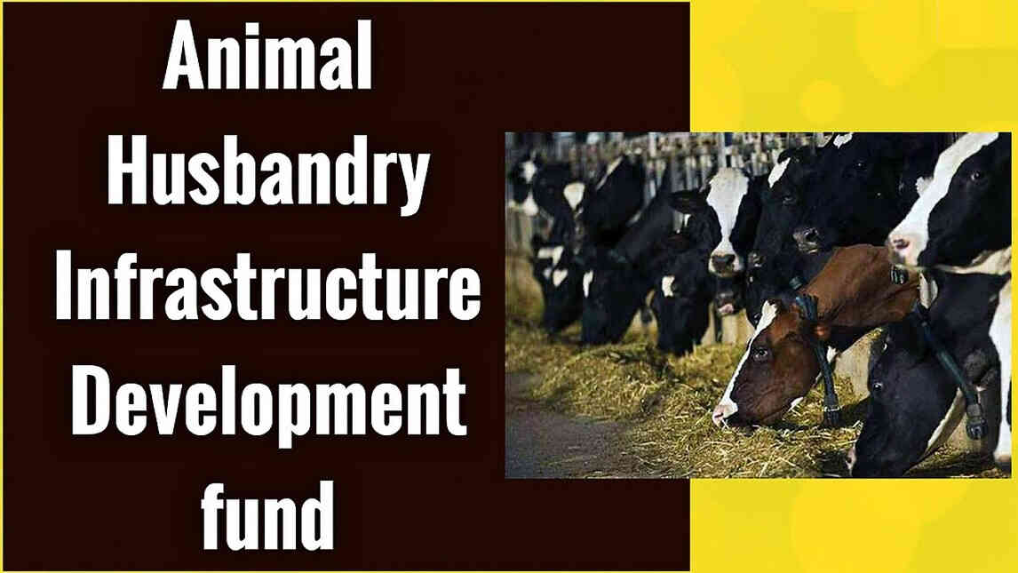 Animal Husbandry Infrastructure Development Fund