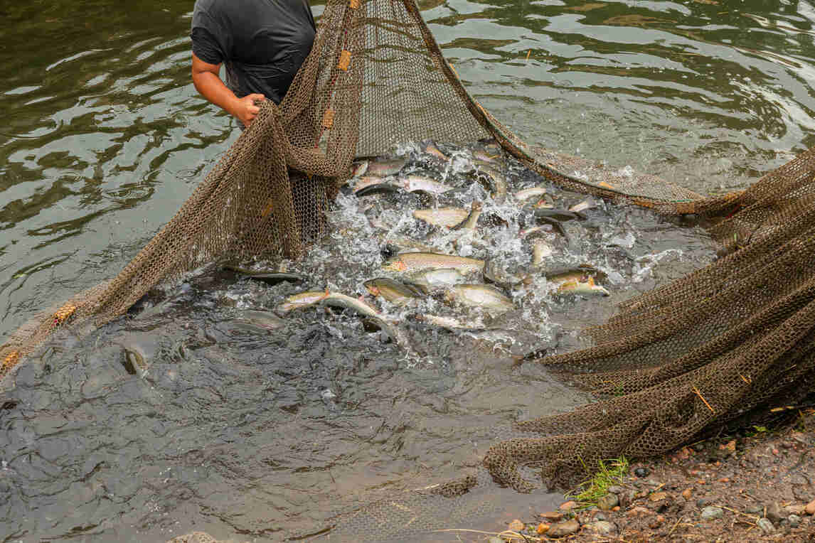 aquaculture business assam
