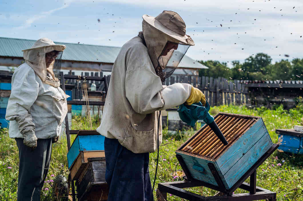 beekeeping business
