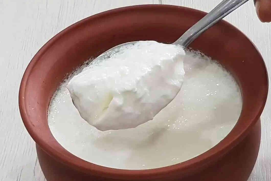 Benefits of Curd: Nutritional Value, In Daily Diet & Side Effects Benefits of Curd: Nutritional Value, In Daily Diet & Side Effects