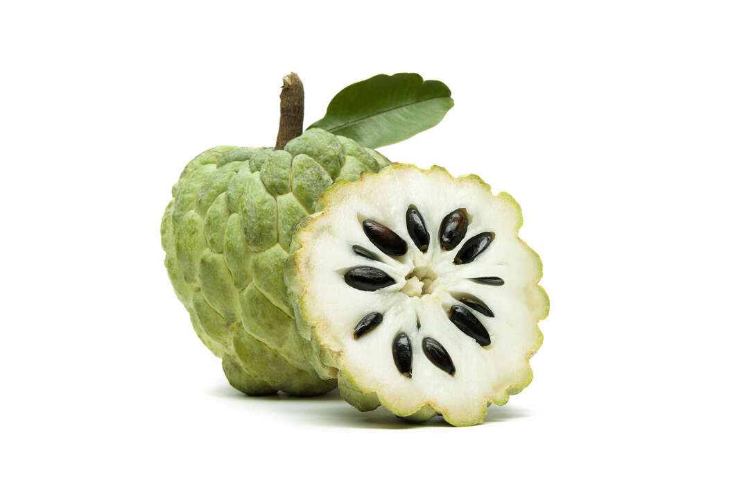 Top 8 Health Benefits of Eating Custard Apple (Sitaphal)