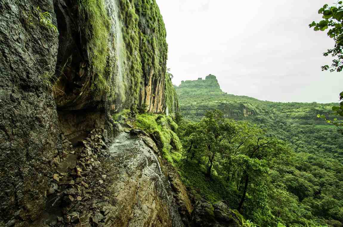 bhimashankar wildlife sanctuary