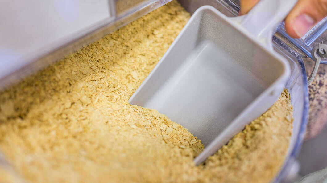 brewer yeast