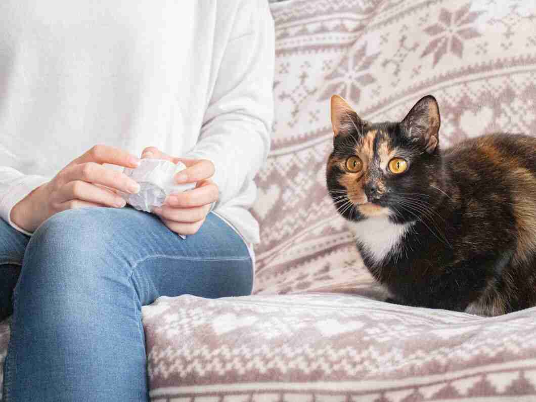 Cat Allergies Cause, Symptoms, Treatment and Prevention of Cat Allergy
