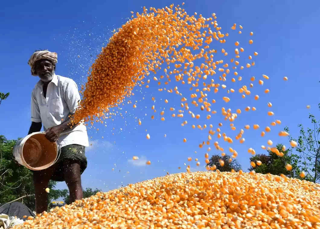 crop export
