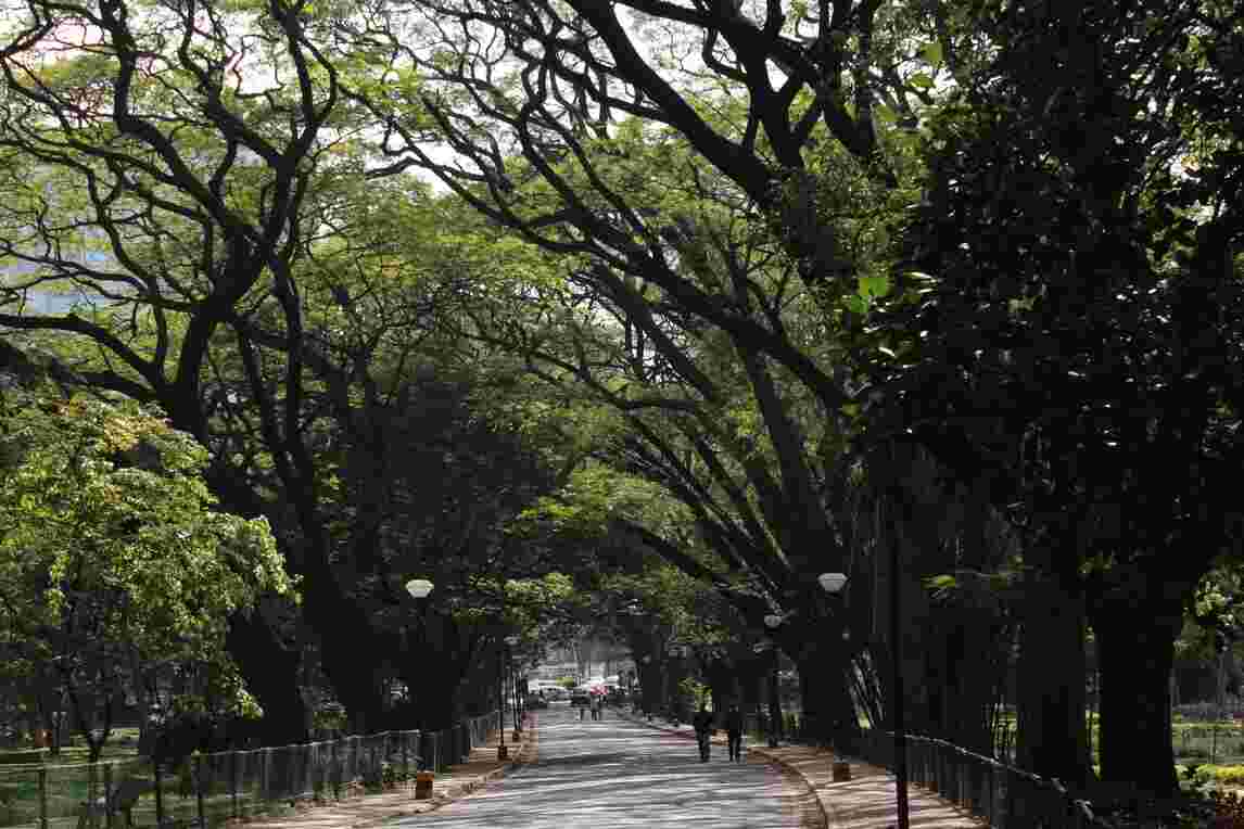 cubbon park bangalore