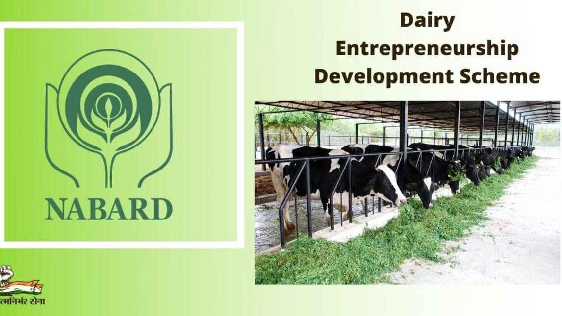 dairy entrepreneurship development scheme