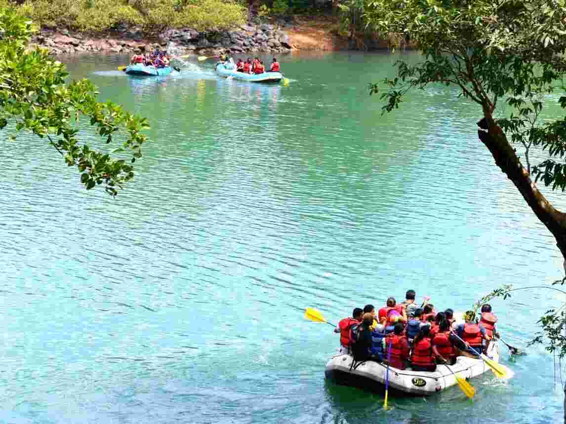 dandeli image