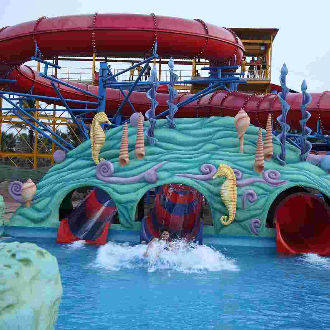 dash n splash chennai