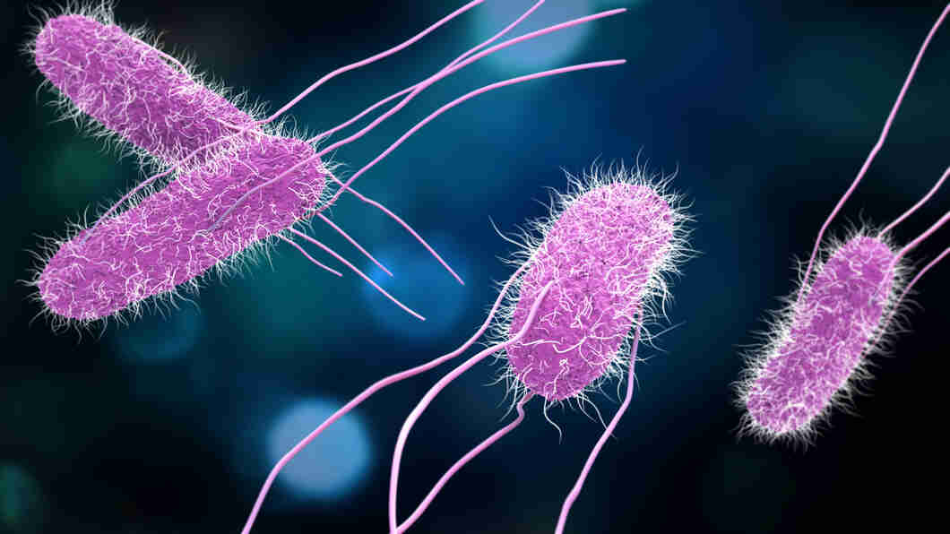 Diseases Caused By Microorganisms: Types, Symptoms & Prevention