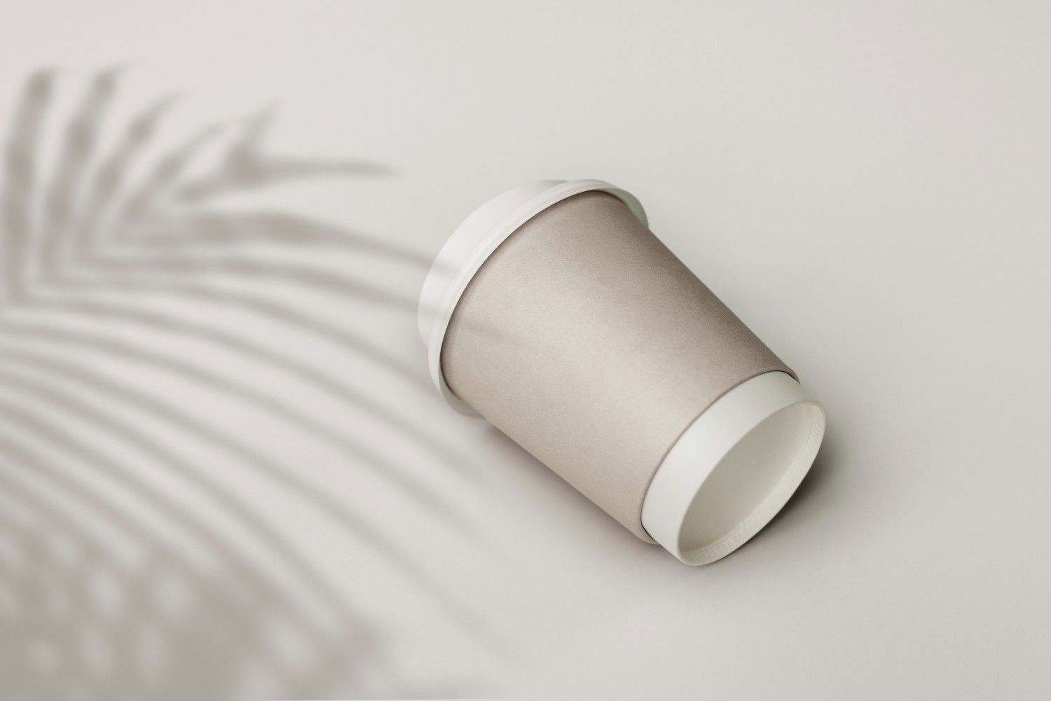 disposable paper plate and cups business in bengal
