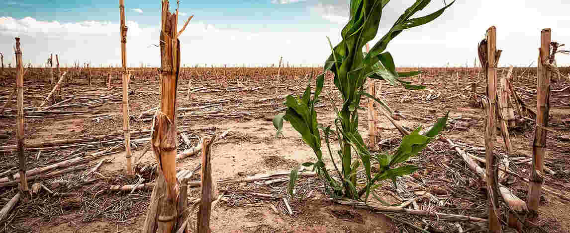 drought prone areas in india
