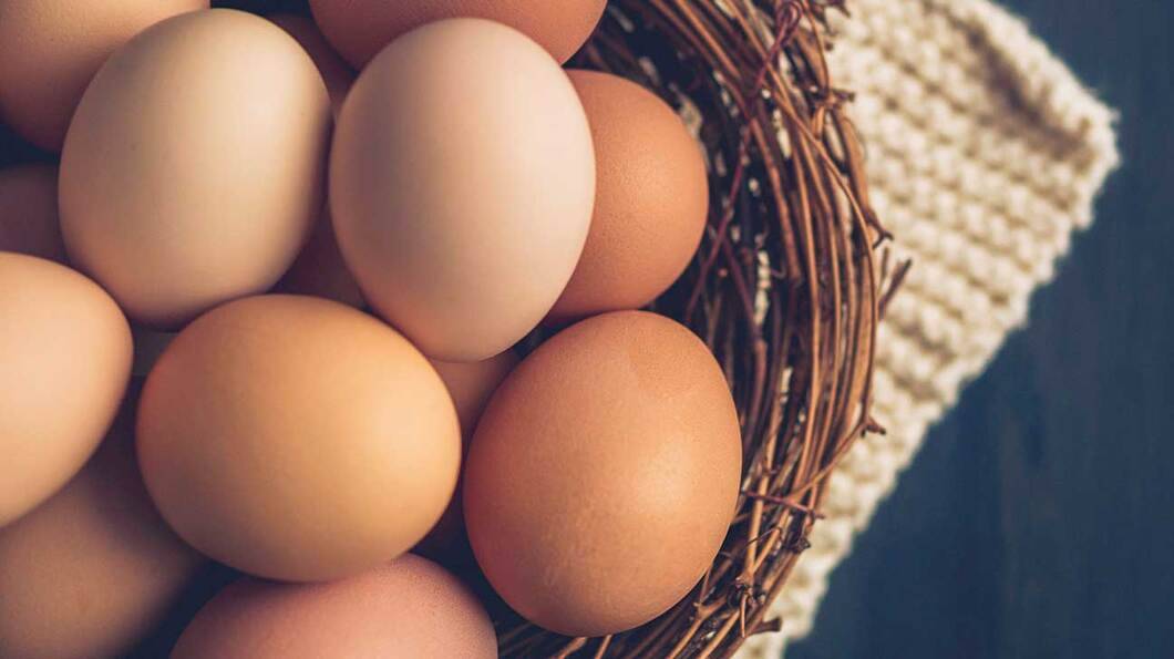 egga ric food