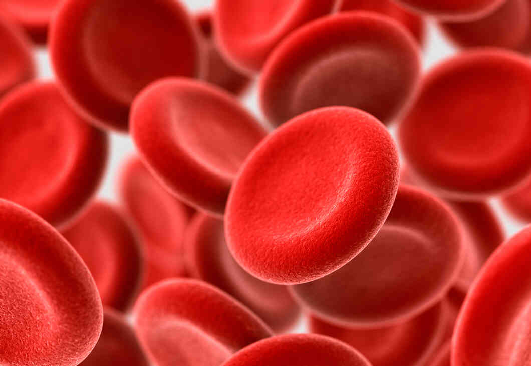 ERYTHROCYTE SEDIMENTATION RATE –