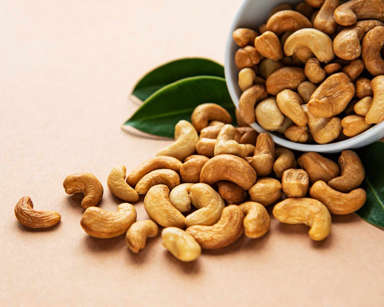 exporting cashew nuts