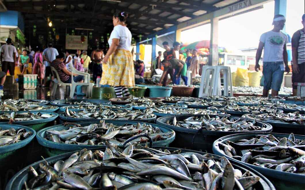 fish supply