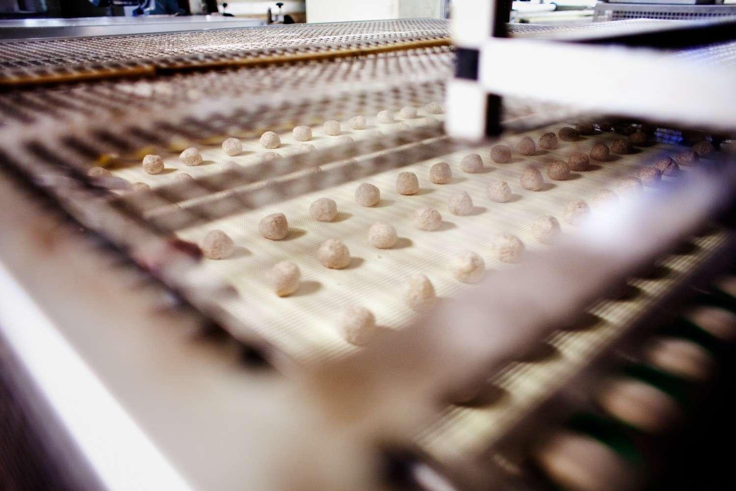 food processing unit in kolkata