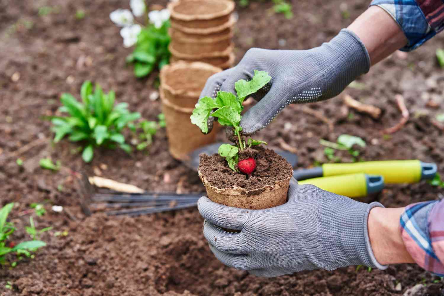gardening business