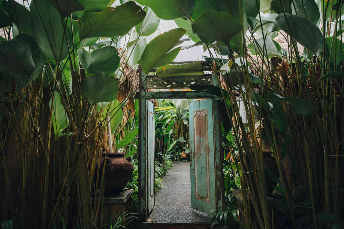 green tourism business