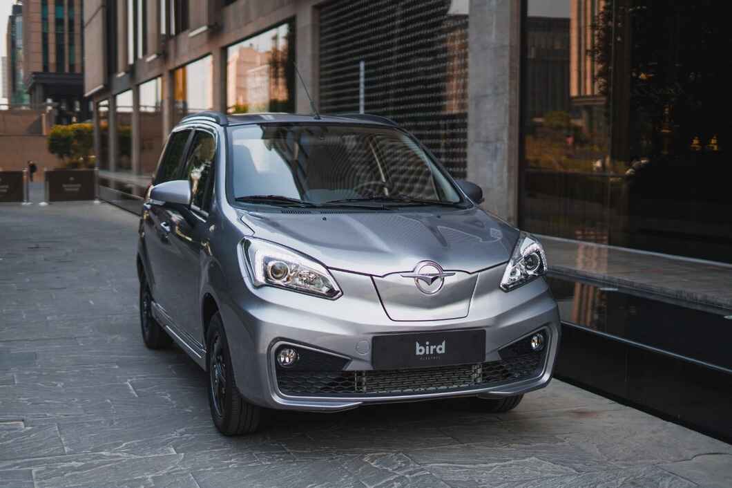 Haima Bird Electric EV1