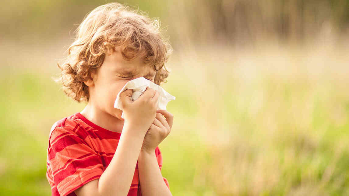What is Hay Fever Causes, Hay Fever Symptoms, Treatment & Prevention
