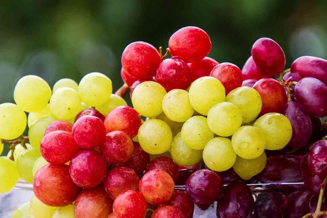 Health Benefits of Grapes Nutritional Value & Side Effects