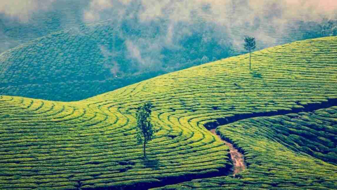 hill stations in kerala