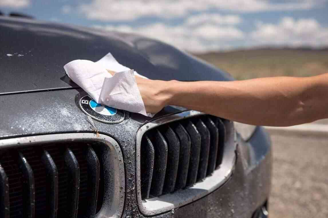 how to remove bugs tar trevor jolin clean