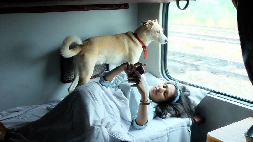 how to travel with dog in train