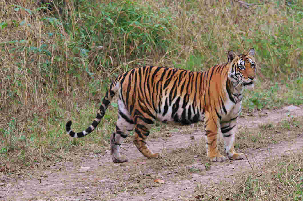 indravatinational park