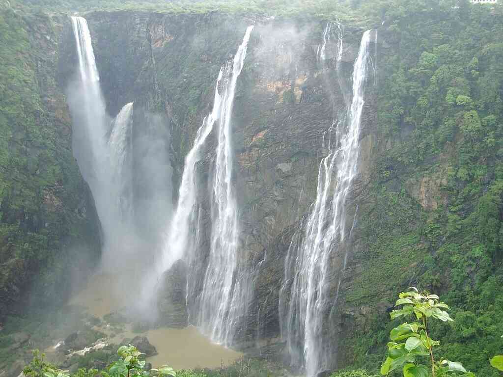 kanker image