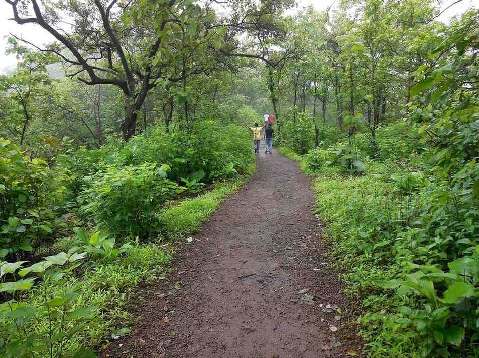 karnala bird sanctuary