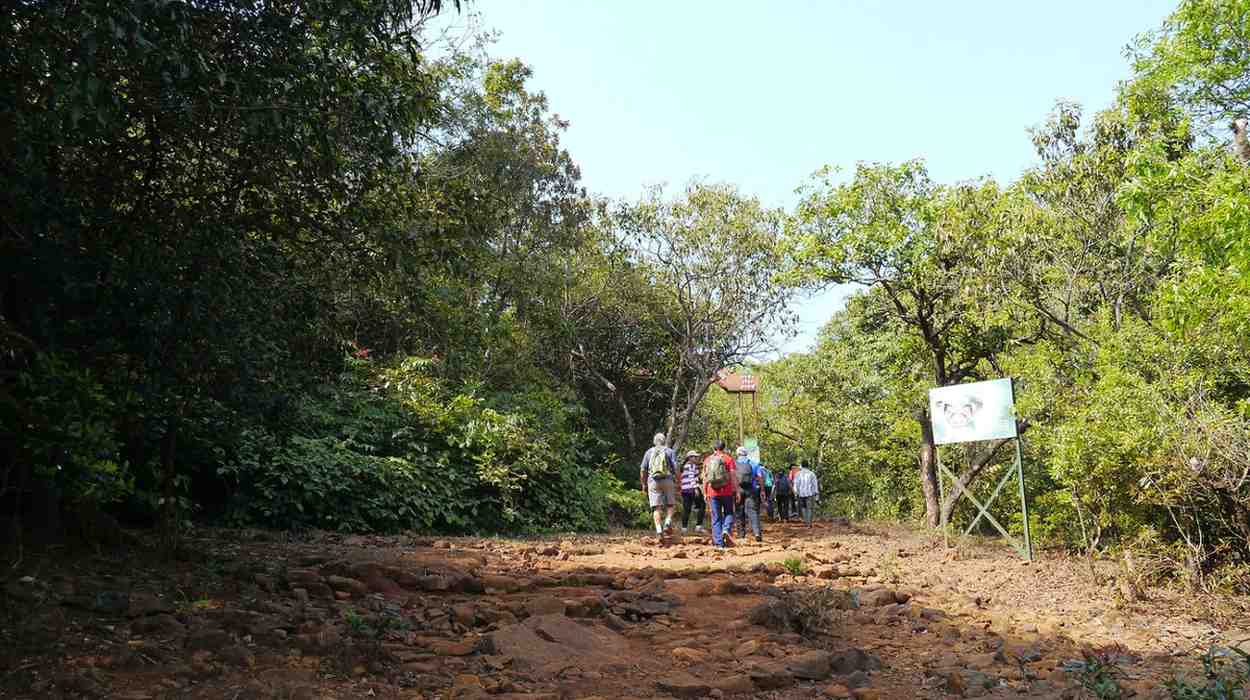 koyna wildlife sanctuary