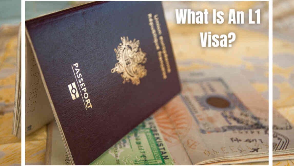 L1 Visa Meaning, Types, Eligibility Criteria, Application Process