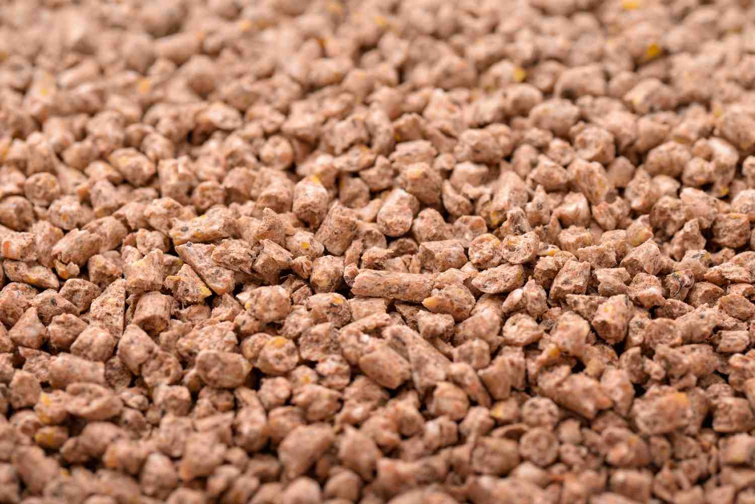 livestock feed production