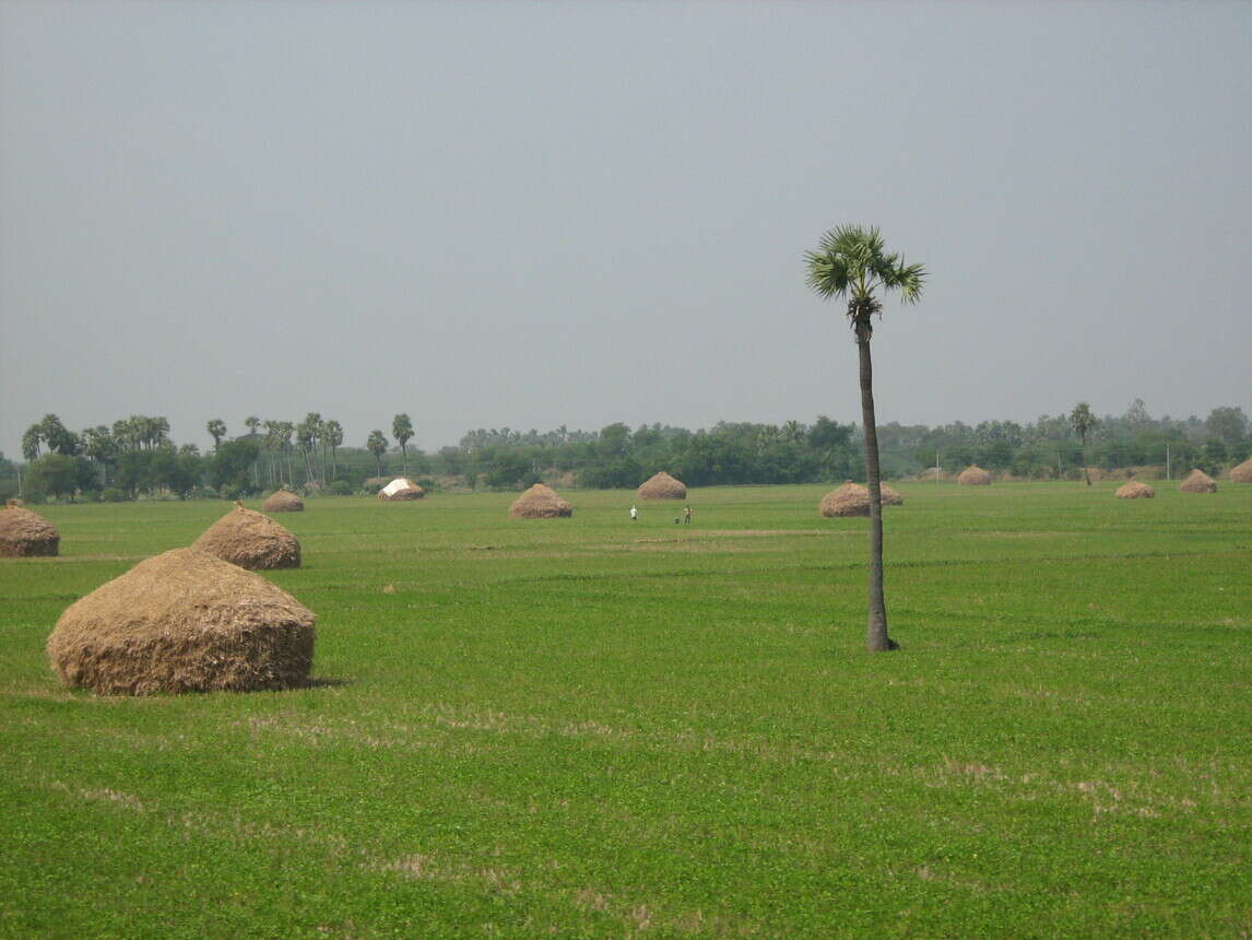 medak telangana
