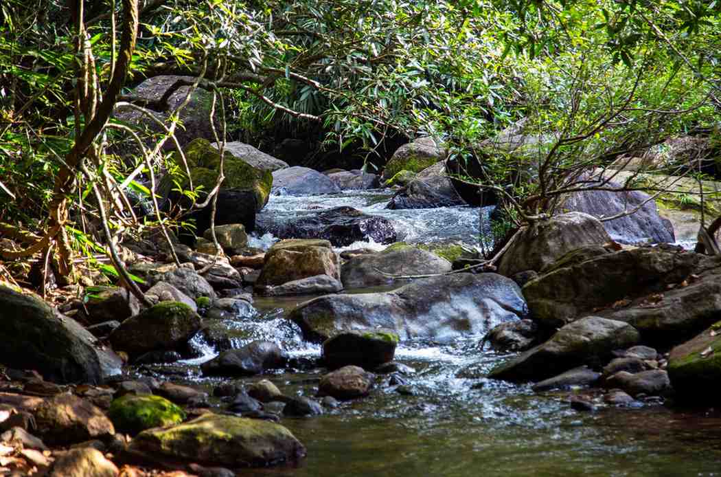 meenvallam falls